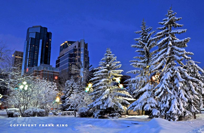 website-calgary-snow1