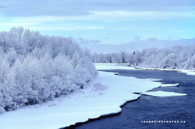 Winter on the Bow River