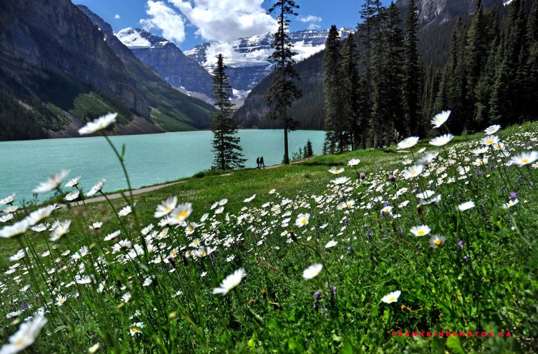 Lake Louise