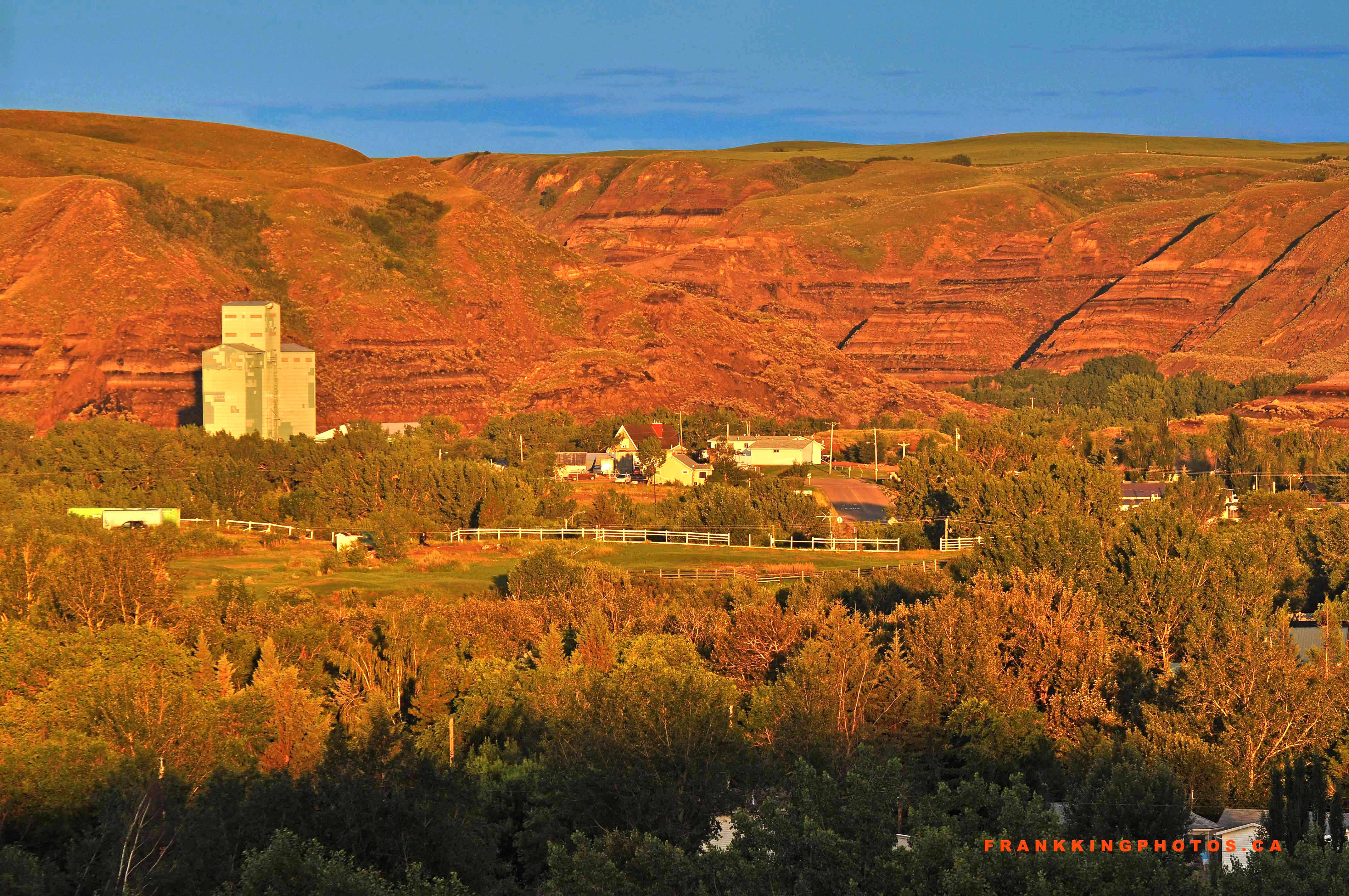 rosedale2web1