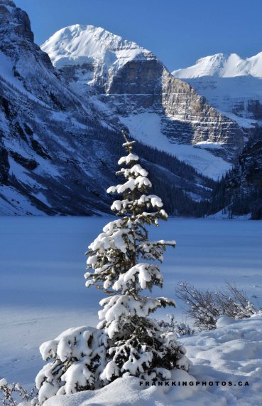 Lake Louise, Alberta