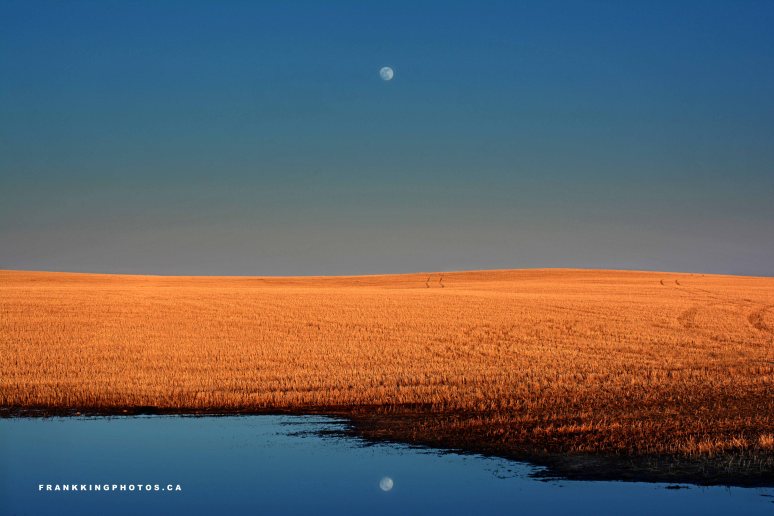 Moonrise Alberta prairies