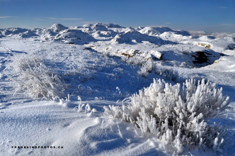 Dinosaur Provincial Park Alberta