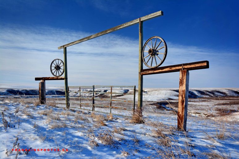 Ranch prairies Alberta Drumheller