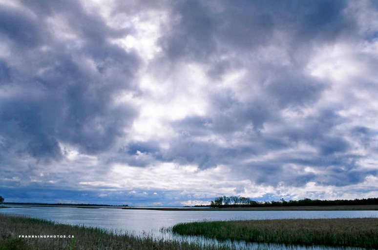 Presquile Bay Ontario scenery