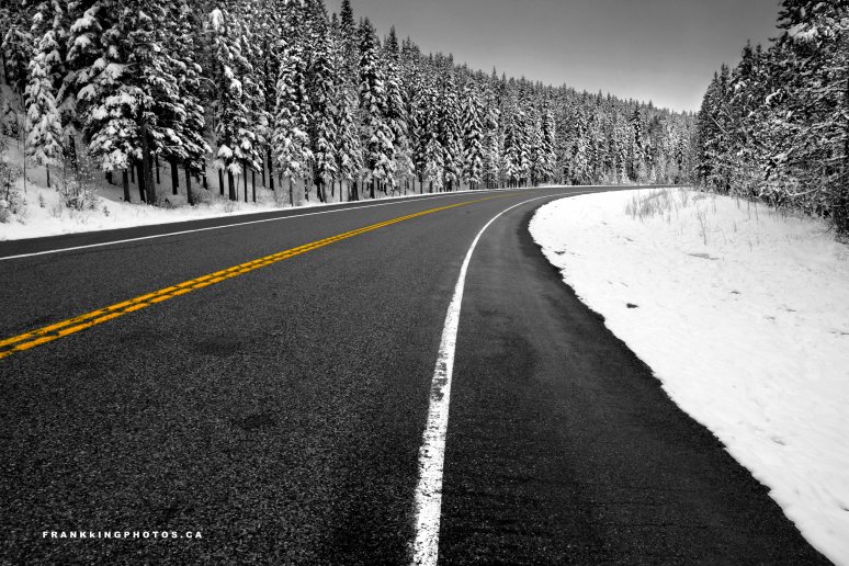 snowy road, snowy forest, Canada