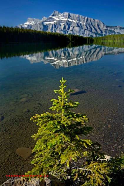 Canadian rockies, lake, summer