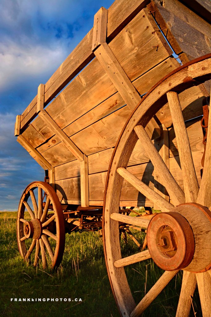 CochraneWagonWeb1