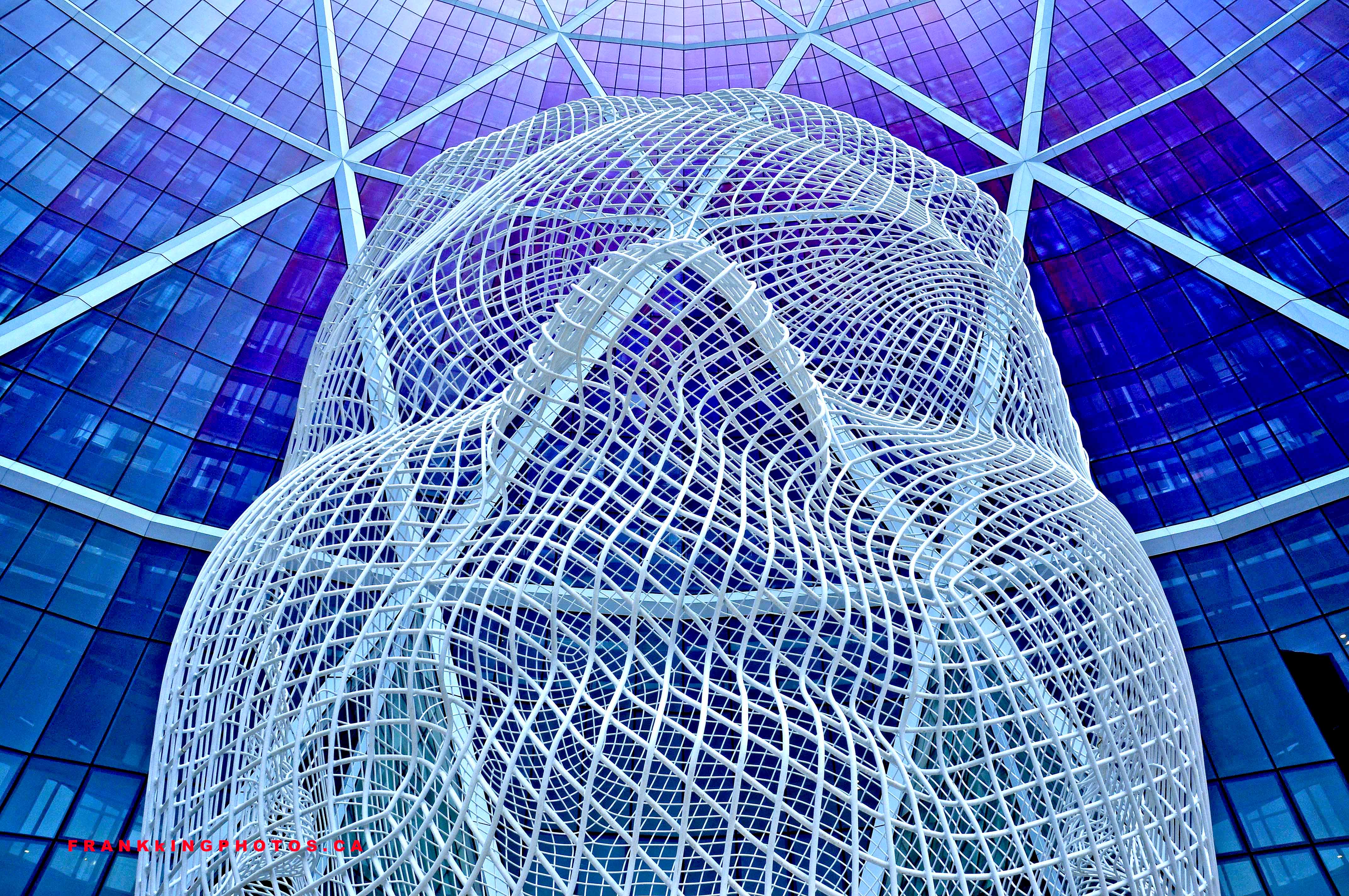 WonderlandWeb1