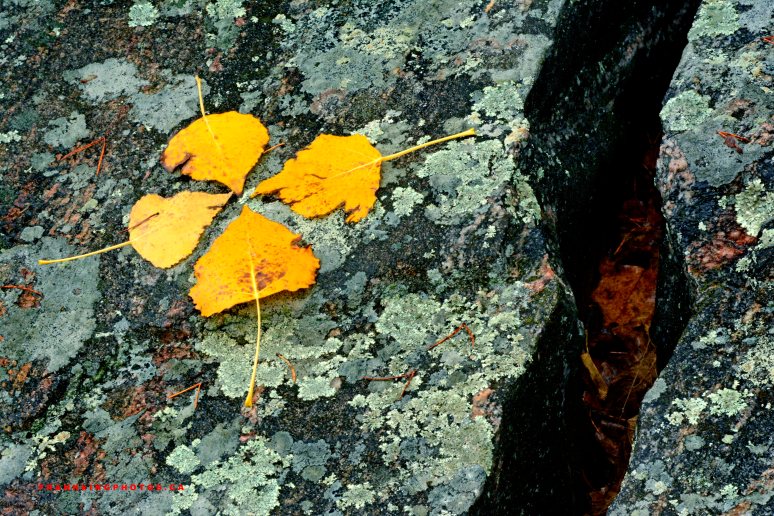 autumn Deep River Canada