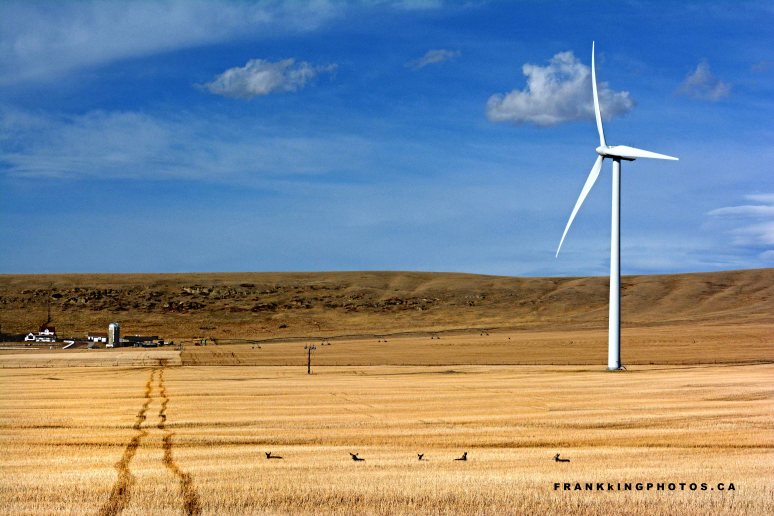 Alberta prairies Canada wind turbine