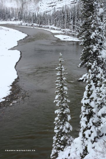 snow Kananaskis Alberta Canada