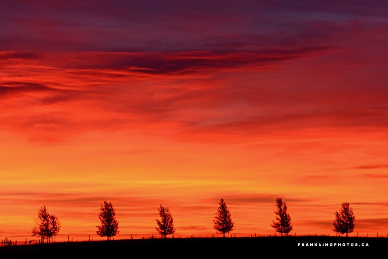 Alberta prairie sunrise