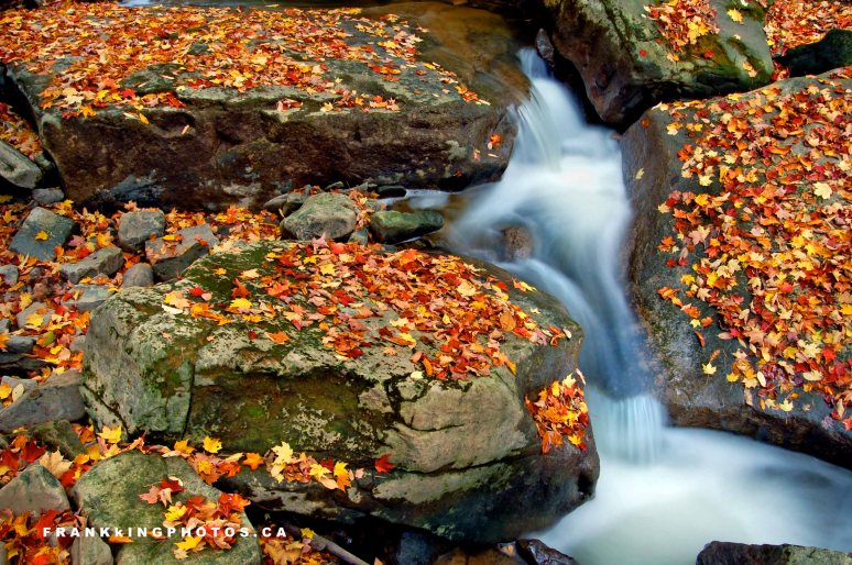 autumn creek canada