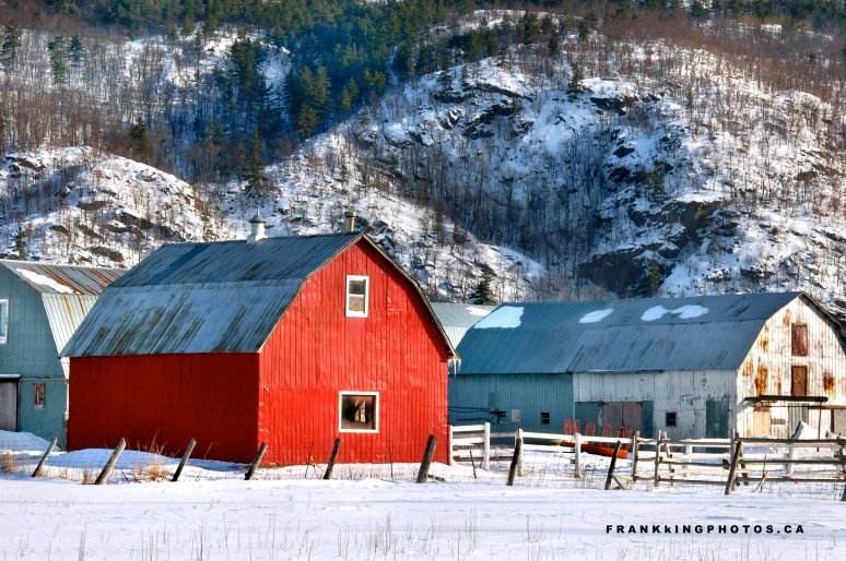 Barn red Canada winter