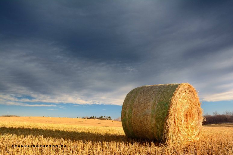 hay roll dark sky prairies Canada