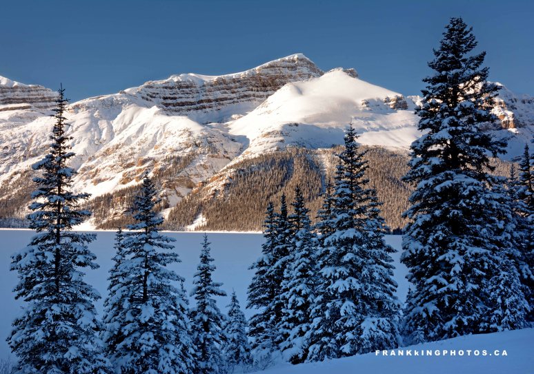 snowy mountains winter canada Rockies