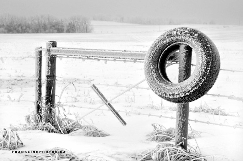 Canada prairies winter